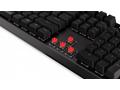 Endorfy herní klávesnice Thock Wireless Red, USB, 