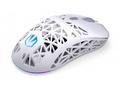 Endorfy LIV Wireless Myš, herní, bezdrátová, optic
