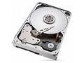 Seagate IronWolf Pro 12TB HDD, ST12000NT001, Inter