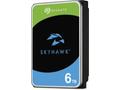 Seagate SkyHawk 6TB HDD, ST6000VX009, Interní 3,5"