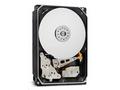 WD Ultrastar DC HC560 - Pevný disk - 20 TB - inter