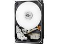 WD Ultrastar DC HC560 - Pevný disk - 20 TB - inter