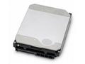 WD Ultrastar DC HC560 - Pevný disk - 20 TB - inter