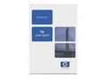 Electronic HP Care Pack Next Day Exchange Hardware