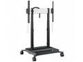 Optoma IFPD RISE 5305 MOTORIZED DISPLAY LIFT TROLL