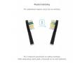 TrueLife SonicBrush Compact Black