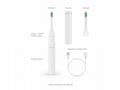 TrueLife SonicBrush T100