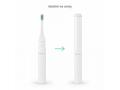 TrueLife SonicBrush T100