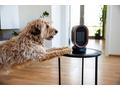 Lauben Desk Fan&Heater 2in1 600BB
