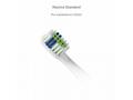 TrueLife SonicBrush Slim-series heads Standard whi