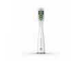 TrueLife SonicBrush Slim-series heads Standard whi