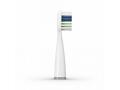 TrueLife SonicBrush Slim-series heads Standard whi