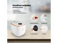 Lauben Multifunction Rice Cooker 1200WR Rose Gold 