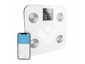 TrueLife FitShape S6 BT - Bioelektrická impedanční