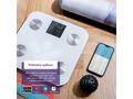 TrueLife FitShape S6 BT - Bioelektrická impedanční