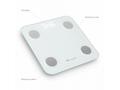 TrueLife FitScale W1 BT White - bioelektrická impe