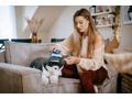 Lauben Handheld Steam Iron 1200GB - napařovač oděv
