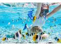 AGFAPHOTO Realimove CC4000W Black