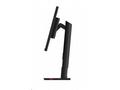 LENOVO LCD ThinkVision T24i-30-23.8" FHD IPS, matn