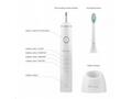 TrueLife SonicBrush Compact Duo