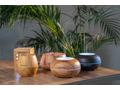 TrueLife AIR Diffuser D3 Light - Aroma difuzér