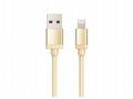 WG - Datový kabel Lightning MFI na USB-A, 1 metr, 