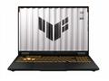 ASUS TUF Gaming F16 (FX608JM-RV014), i5-13450HX, 1