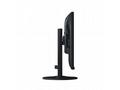EIZO FlexScan EV2410R-BK - S FlexStand - LED monit