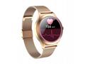 MaxCom Smartwatch FW42 Gold