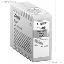 Epson Singlepack Photo Light Light Black T850900 U