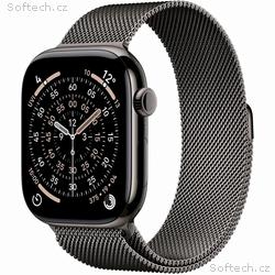 Apple Watch S11 Cell, 42, Elegant Band, Slate
