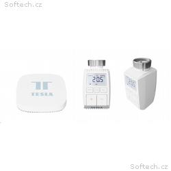 Tesla Smart Bundle Basic 2 (2x Valve + Hub)