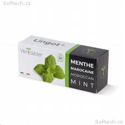 Véritable Lingot Marocká máta - BIO