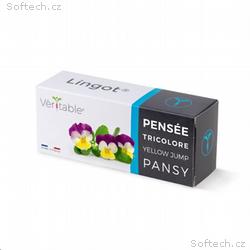 Véritable Lingot Maceška - BIO