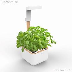 Véritable Botaneo - Automatický květináč + 2 bylin