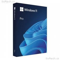 MS Windows 11 Professional FPP 64-bit Eng Intl USB