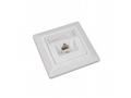 Solarix Eth.Zás. CAT5E UTP 1 x RJ45 pod omítku bíl