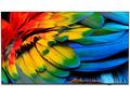 65" HTV Philips 65HFL6214U - Business TV