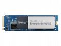 Synology - Enterprise Series - SSD - 800 GB - inte