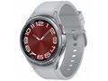 Samsung Galaxy Watch6 Classic 43mm SM-R950NZSAEUE 
