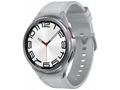 Samsung Galaxy Watch 6 Classic, 47mm, Silver, Spor