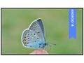 BenQ ST4304 43" Digital Signage 18, 7 3840x2160, 1