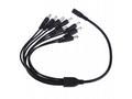 XtendLan Napájecí kabel, splitter 1 na 8, jack 2,1