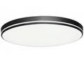 IMMAX NEO LITE AREAS SMART stropní svítidlo 51cm, 