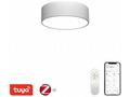 IMMAX NEO RONDATE SLIM SMART stropní svítidlo 25 x