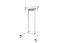 Neomounts FL55-875WH1 - Vozík - pro plochý panel -