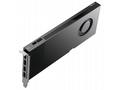 HP VGA NVIDIA RTX PRO 4000 Blackwell 24 GB 4DP Gra