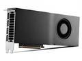 NVIDIA RTX PRO 4500 Blackwell - Grafická karta - R