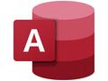 Elektronická licence: Microsoft CSP Access LTSC 20