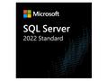 Elektronická licence: Microsoft CSP SQL Server Sta